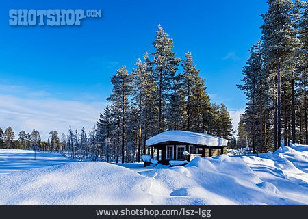 
                Winter, Schnee, Hütte, Finnland                   