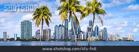 
                Palmen, Skyline, Miami                   