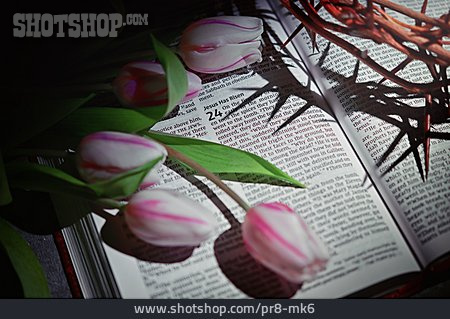 
                Easter, Bible, Wreath Thorn, Resurrection                   