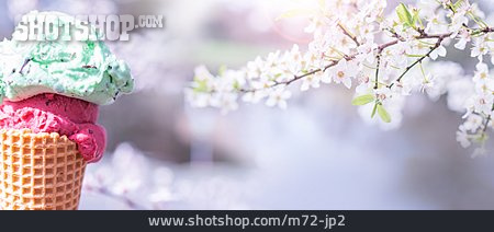 
                Kirschblüte, Frühling, Eistüte                   