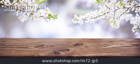 
                Kirschblüte, Frühling, Holztisch                   