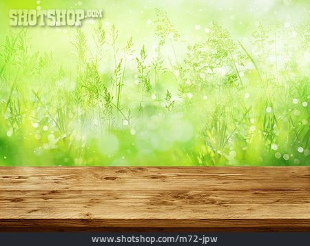 
                Gräser, Frühling, Holztisch                   