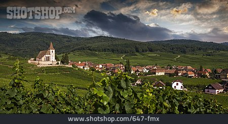 
                Weinregion, Kulturlandschaft, Hunawihr                   