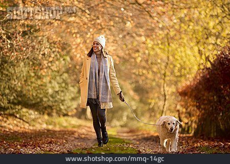 
                Spaziergang, Golden Retriever, Gassi Gehen, Goldener Herbst                   