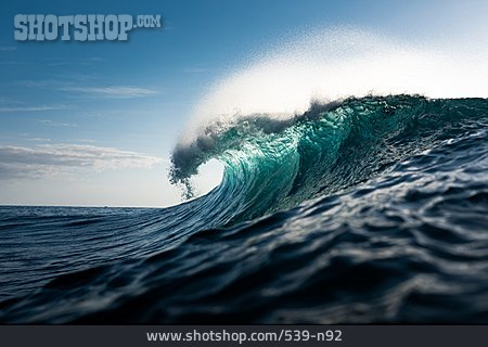 
                Water, Sea, Wave                   