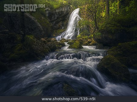 
                Bach, Wasserfall, Wildbach                   