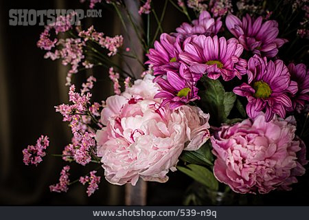 
                Blumenstrauß, Pfingstrose, Chrysantheme                   