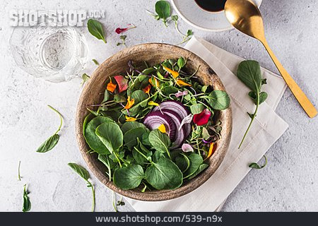 
                Gemischter Salat, Sommersalat                   