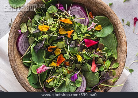 
                Gemischter Salat, Sprossen, Sommersalat                   