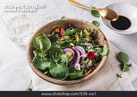
                Sprossen, Sommersalat, Bunter Salat                   
