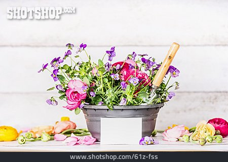 
                Blumen, Gärtnern, Frühlingszeit                   
