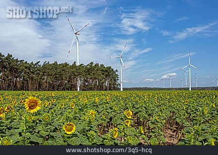 
                Windenergie, Alternative Energie, Windkraft                   