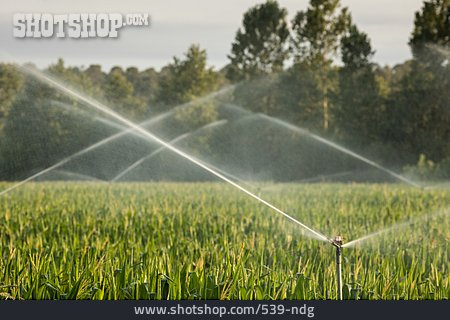 
                Landwirtschaft, Bewässerung, Sprinkler, Bewässerungsanlage                   