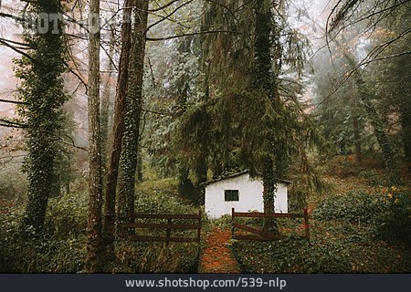 
                Wald, Hütte, Einsam, Geheimnisvoll                   