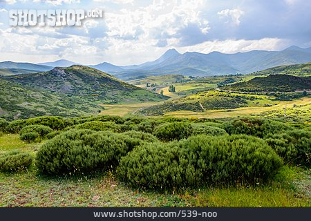 
                Hügel, Bergland, Palencia                   