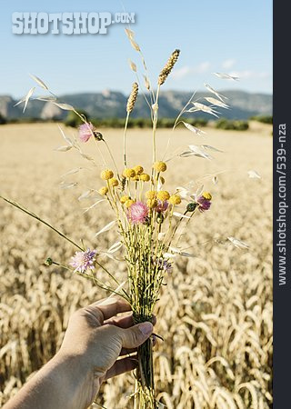 
                Getreidefeld, Sommerstrauß                   