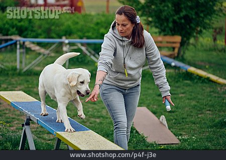 
                Agility, Hundesport, Hundetraining                   