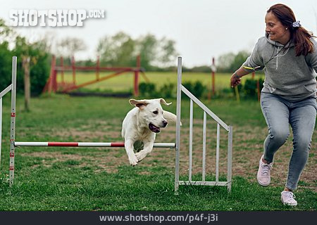 
                Springen, Hund, Agility, Hundesport                   