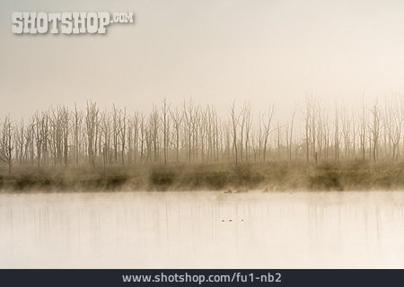 
                Nebel, Naturschutzgebiet, Moorlandschaft, Anklamer Stadtbruch                   