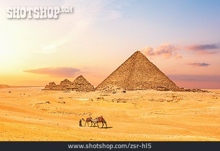 
                ägypten, Kamele, Pyramiden Von Gizeh, Kameltreiber                   