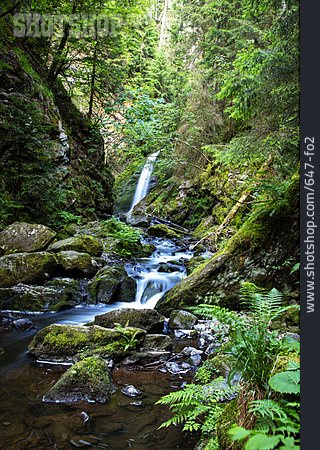 
                Bachlauf, Ravennaschlucht                   