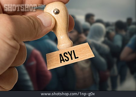 
                Asyl                   