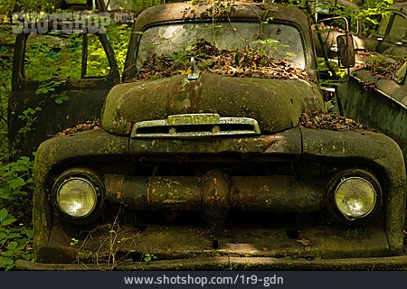 
                Oldtimer, Autowrack, Autofriedhof, Ford                   