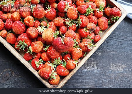 
                Erdbeere, Ernte                   