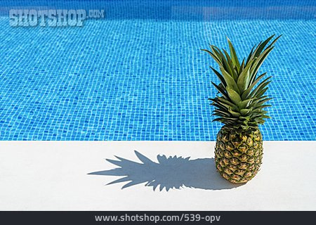
                Sommer, Pool, Ananas                   