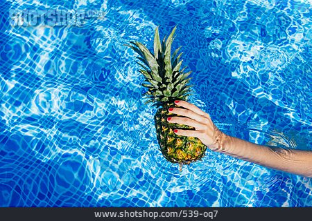 
                Tropisch, Sommer, Pool, Ananas                   