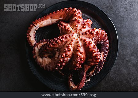 
                Oktopus, Gekocht                   