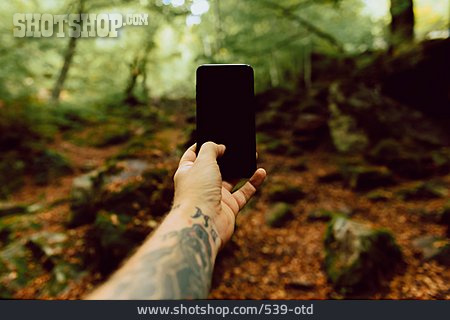 
                Wald, Bildschirm, Fotografieren, Smartphone                   