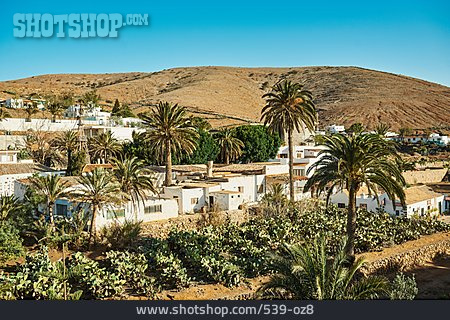 
                Dorf, Fuerteventura, Kanarische Insel                   