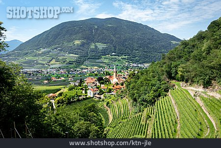 
                Südtirol, Etschtal, Algund                   