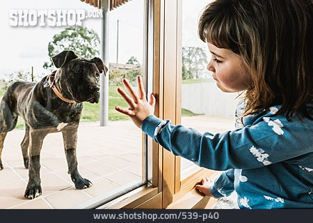 
                Mädchen, Hund, Kontakt, Fensterscheibe                   