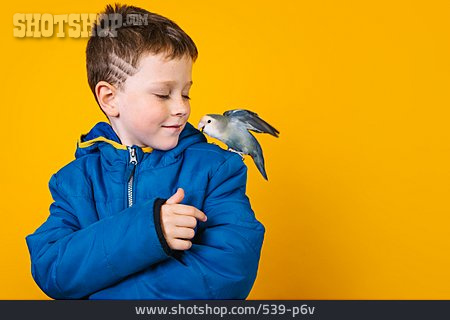 
                Junge, Freundschaft, Papagei                   