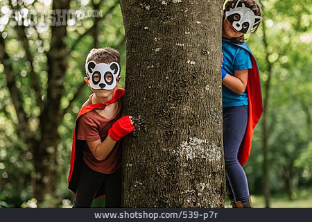
                Wald, Spielen, Waschbär, Pandabär, Sich Verstecken, Superheld                   