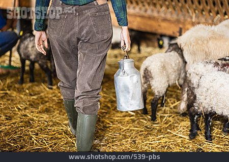 
                Milchkanne, Schafe, Landwirtin                   