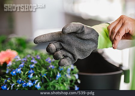 
                Getting Dressed, Gardening, Garden Gloves, Repot                   