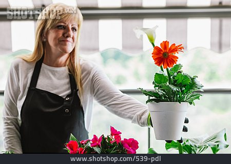 
                Frau, Balkon, Topfpflanze, Einpflanzen                   