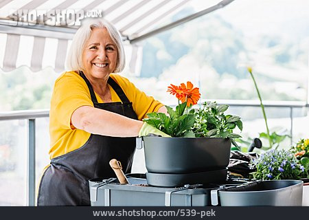 
                Seniorin, Lächeln, Pflanzen, Balkon, Gärtnern                   