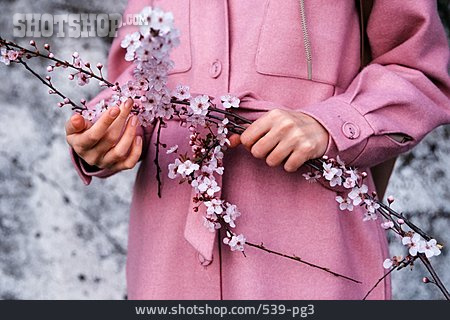 
                Rosa, Kirschblüte, Mantel                   