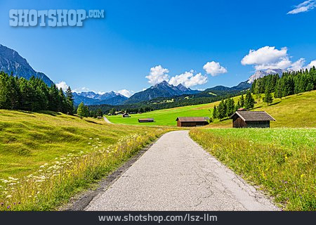 
                Weg, Alpen, Wiesenhütte                   