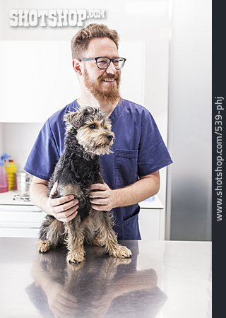 
                Hund, Tierarzt, Tierklinik                   