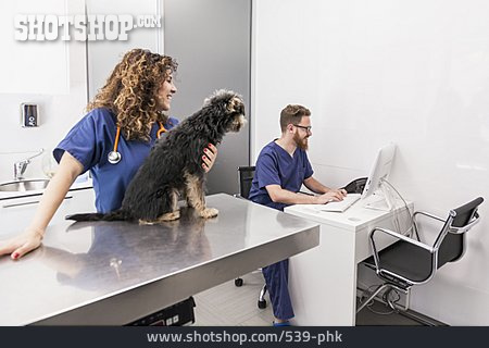 
                Tiermedizin, Veterinärmedizin, Tierarztpraxis                   