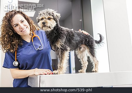 
                Hund, Streicheln, Tierärztin, Tierklinik                   