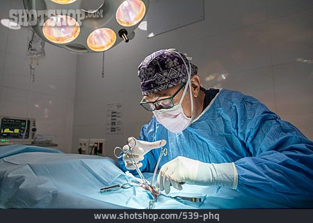 
                Mundschutz, Chirurg, Operation, Tiermedizin                   