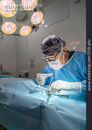 
                Konzentriert, Chirurg, Operation, Operieren, Veterinärmedizin                   
