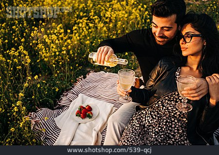 
                Paar, Romantisch, Picknick                   