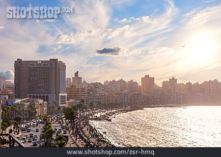 
                Alexandria                   